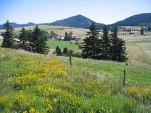 Durch das Hochmoor zur Grünhütte