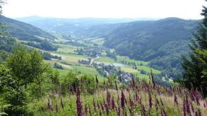 Dreierlei in Willstätt