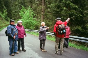 Durch das Hochmoor zur Grünhütte