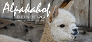 Durch das Hochmoor zur Grünhütte