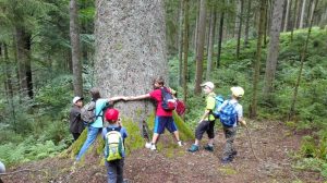 Silvesterlauf in Kappelrodeck