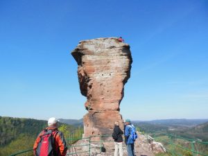 Durch das Hochmoor zur Grünhütte