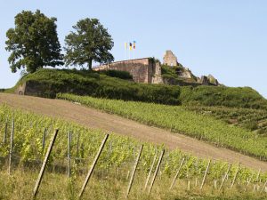 Durch das Hochmoor zur Grünhütte