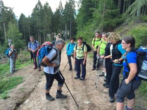Durch das Hochmoor zur Grünhütte
