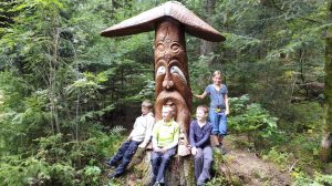 Durch das Hochmoor zur Grünhütte