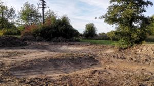 Durch das Hochmoor zur Grünhütte