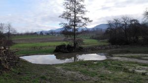 Dreierlei in Willstätt