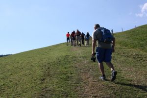 Durch das Hochmoor zur Grünhütte
