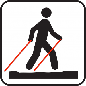 Durch das Hochmoor zur Grünhütte