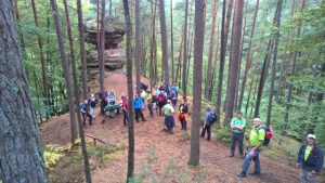 Durch das Hochmoor zur Grünhütte