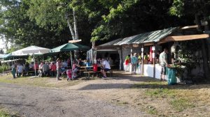 Durch das Hochmoor zur Grünhütte