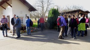 Durch das Hochmoor zur Grünhütte
