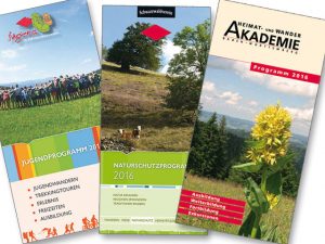 Durch das Hochmoor zur Grünhütte