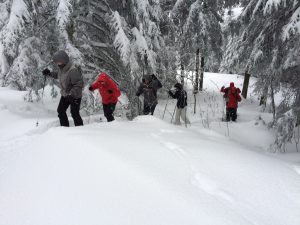 Durch das Hochmoor zur Grünhütte