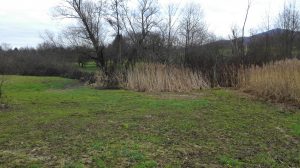 Dreierlei in Willstätt