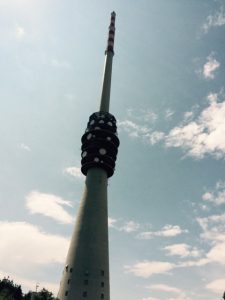 Durch das Hochmoor zur Grünhütte