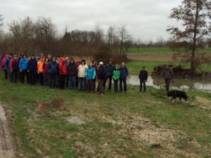 Durch das Hochmoor zur Grünhütte