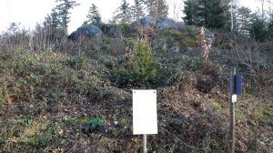 Dreierlei in Willstätt