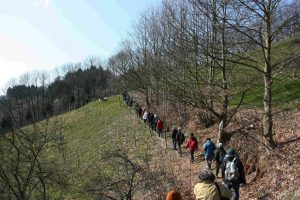 Durch das Hochmoor zur Grünhütte