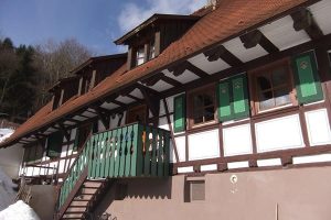 Durch das Hochmoor zur Grünhütte