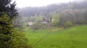 Durch das Hochmoor zur Grünhütte