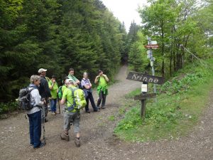 Durch das Hochmoor zur Grünhütte