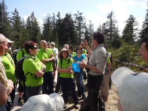 Durch das Hochmoor zur Grünhütte
