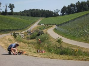 Durch das Hochmoor zur Grünhütte