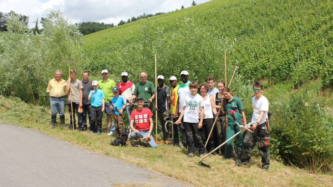 Landschaftspflege_160625_red