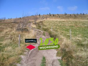 Durch das Hochmoor zur Grünhütte