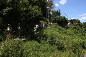 Dreierlei in Willstätt