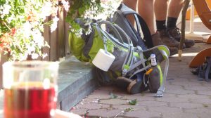 Durch das Hochmoor zur Grünhütte