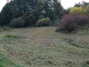 Durch das Hochmoor zur Grünhütte