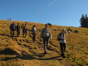 Durch das Hochmoor zur Grünhütte