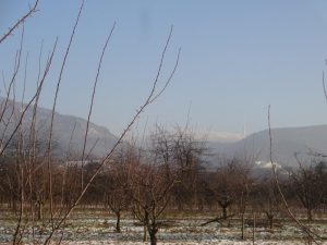 Dreierlei in Willstätt