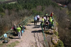 Durch das Hochmoor zur Grünhütte