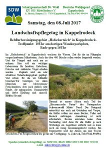 Durch das Hochmoor zur Grünhütte