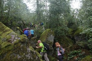 Silvesterlauf in Kappelrodeck