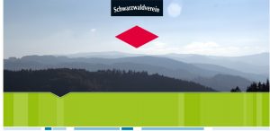 Silvesterlauf in Kappelrodeck