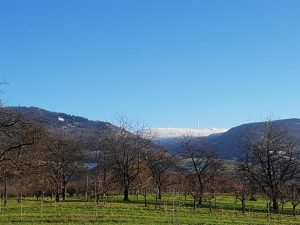 Durch das Hochmoor zur Grünhütte