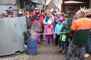 Durch das Hochmoor zur Grünhütte