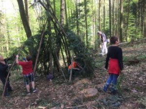 Durch das Hochmoor zur Grünhütte