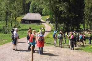 Silvesterlauf in Kappelrodeck