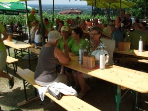 Durch das Hochmoor zur Grünhütte