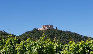 Silvesterlauf in Kappelrodeck