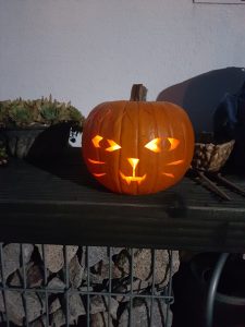 Durch das Hochmoor zur Grünhütte