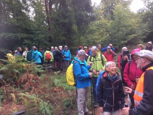 Silvesterlauf in Kappelrodeck