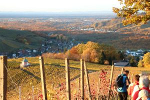 Durch das Hochmoor zur Grünhütte
