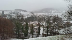 Durch das Hochmoor zur Grünhütte