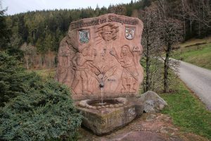 Durch das Hochmoor zur Grünhütte